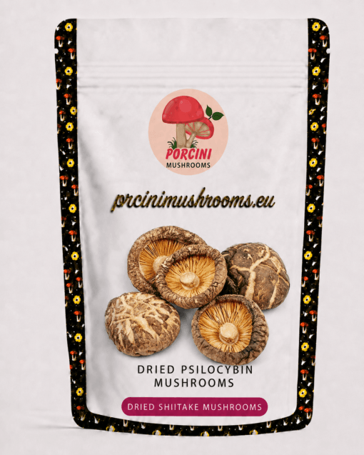 dried shiitake mushrooms
