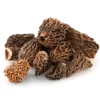 morel mushrooms