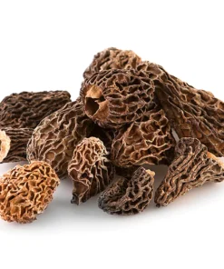 morel mushrooms