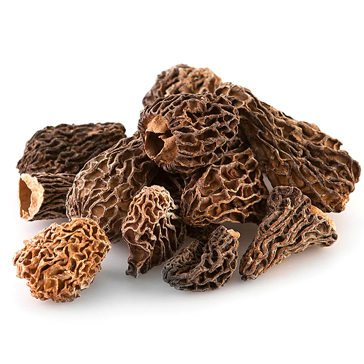 DriedMorel_720x morel mushrooms
