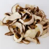 dried porcini mushrooms