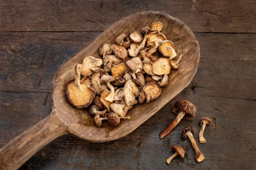 dried shiitake mushrooms