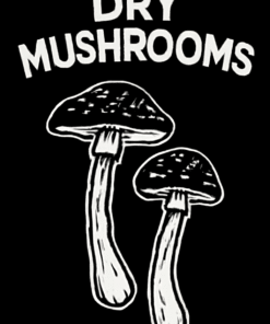 dried magic mushroom