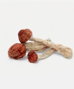 psychedelic mushrooms​​