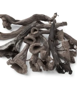Black-trumpet-mushrooms-cropped-square-darkened (1) Fresh Wild Black Trumpet Mushrooms