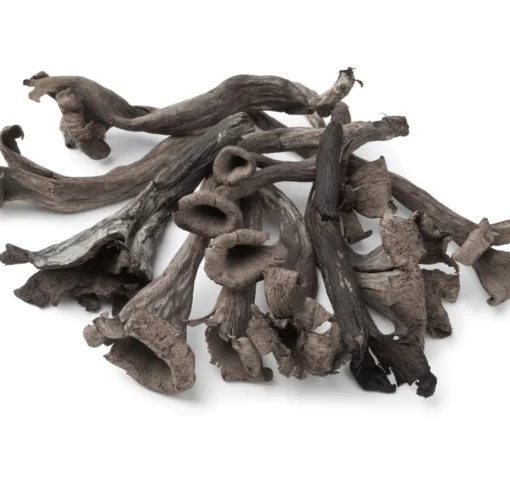 Fresh Wild Black Trumpet Mushrooms