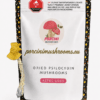 Aztec Gods Dried Mushrooms