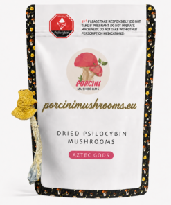 Aztec Gods Magic Mushroom