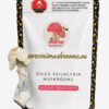 albino penis envy mushrooms