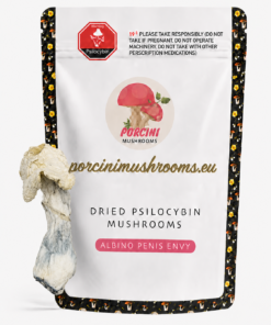 Albino Penis Envy Mushrooms
