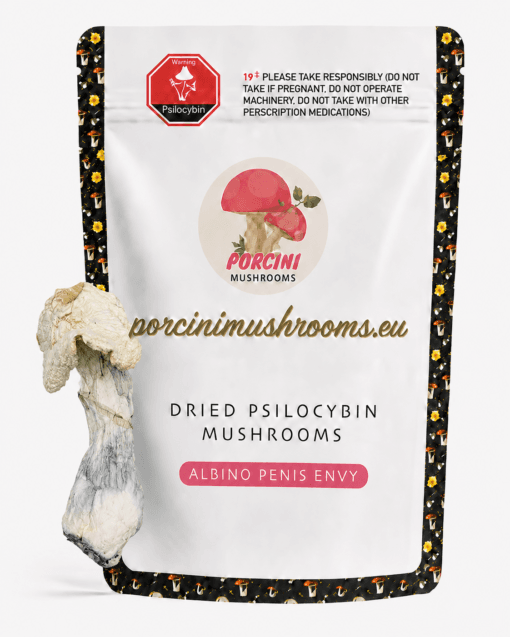 albino penis envy mushrooms