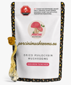 Golden Teacher Magic Mushrooms