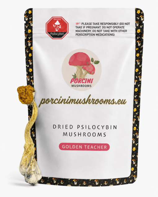 Golden teacher dried magic mushrooms