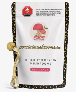 Penis Envy Magic Mushrooms