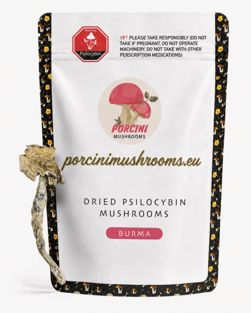 Burma dried magic mushroom strain