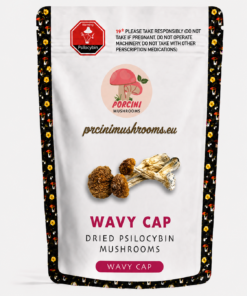 Wavy Cap Magic Mushrooms