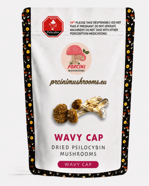 Wavy cap dried magic mushrooms