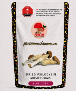 Blue Goba Magic Mushroom