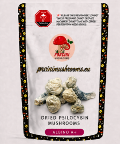 A+ Magic Mushroom