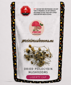 Liberty Cap Magic Mushroom