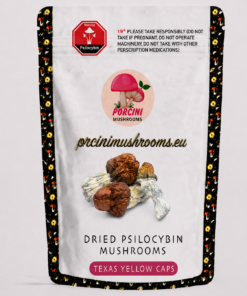 Texas Yellow Caps Magic Mushrooms