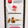 Daddy Long Legs Dried Mushrooms