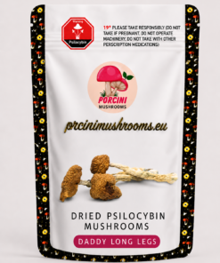 Daddy Long Legs Magic Mushrooms