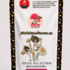 Creeper Magic Mushrooms Strain