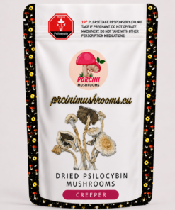 Creeper Magic Mushrooms