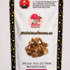 Dried Brazilian Magic Mushrooms