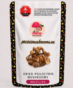 Brazilian Magic Mushrooms