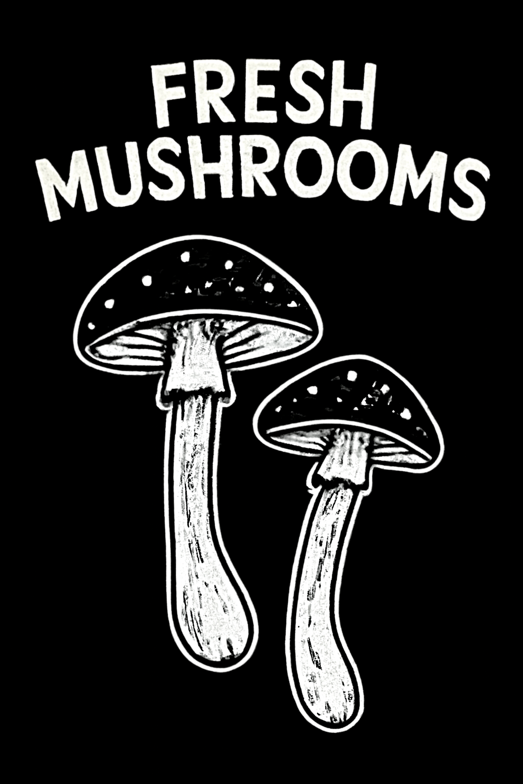 Fresh Morel Mushroom