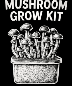 Mushroom Grow Kits
