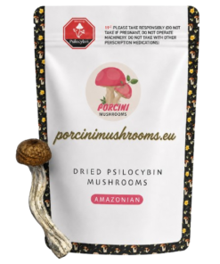 Amazonian Magic Mushrooms