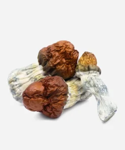 magic mushrooms drugs