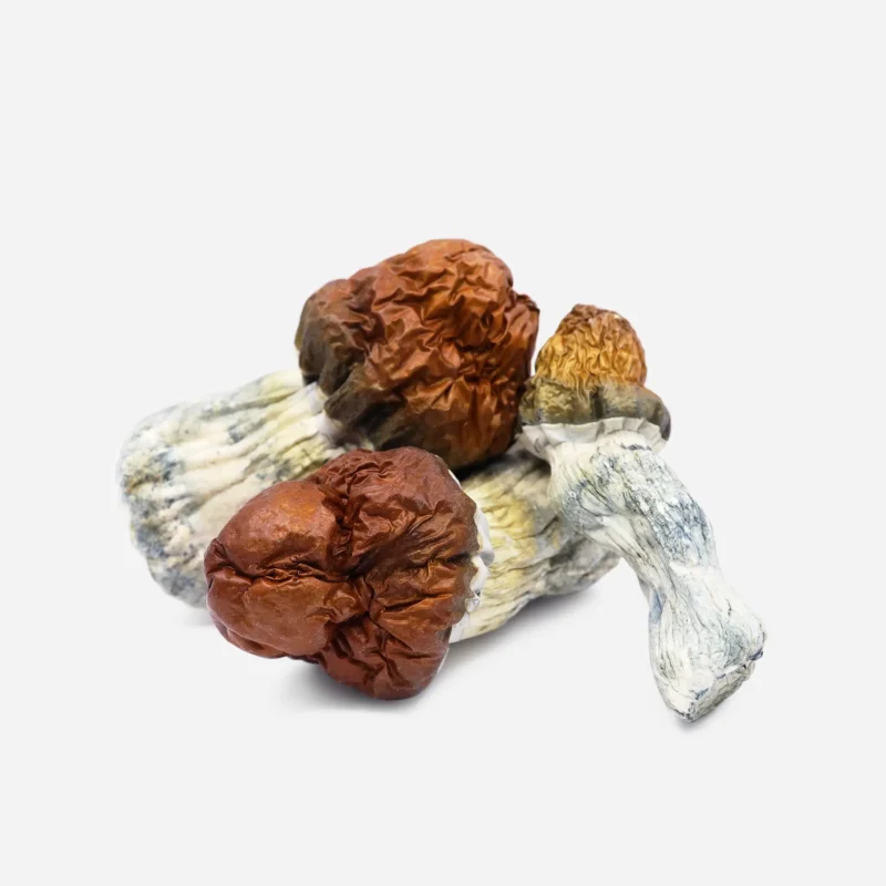 magic mushrooms drugs