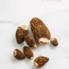 Morels_FRESH fresh morel mushroom