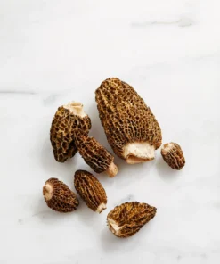 Morels_FRESH fresh morel mushroom