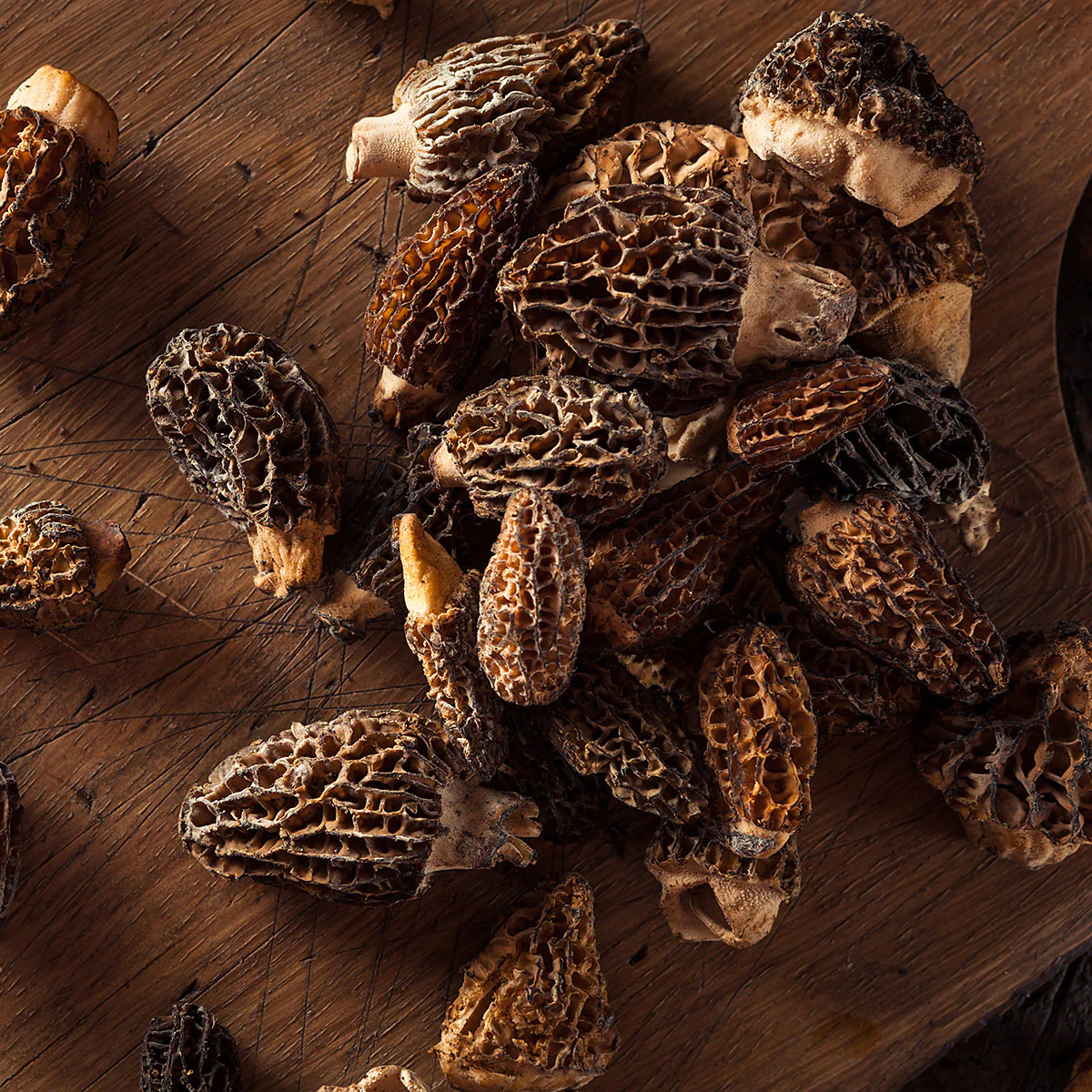fresh-morel-mushrooms