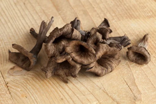 Fresh Wild Black Trumpet Mushrooms
