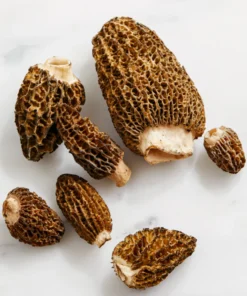 fresh morel mushrooms