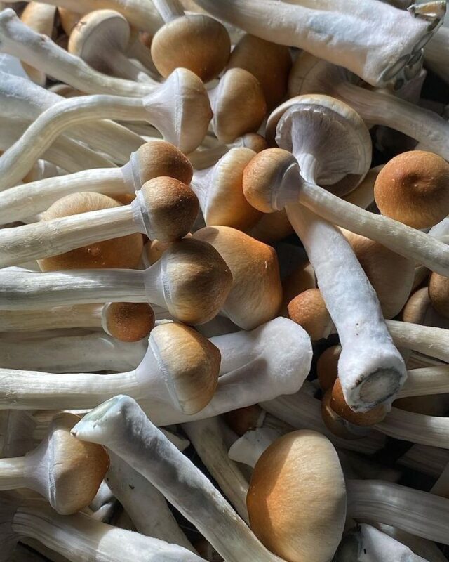 photo_2025-09-30_14-49-25