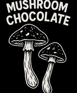 Mushroom Chocolates