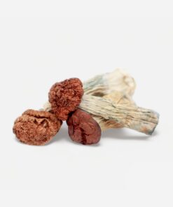 Blue Meanies Magic Mushrooms