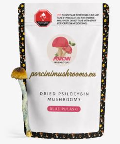 Blue Pulaski Magic Mushrooms