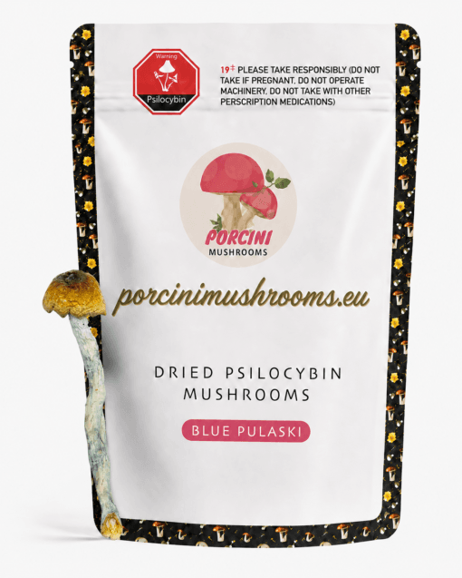 dried blue pulaski mushrooms strain