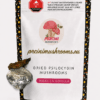 ChatGPT Image Jul 24, 2026, 11_09_14 PM Dried Makilla Gorilla Mushrooms