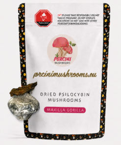 Makilla Gorilla Magic Mushrooms