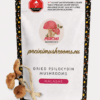 Malabar Dried Magic Mushrooms