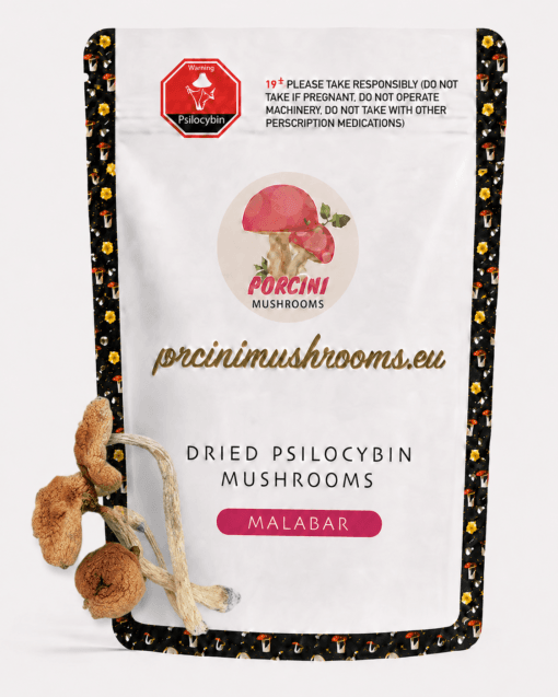 Malabar Dried Magic Mushrooms